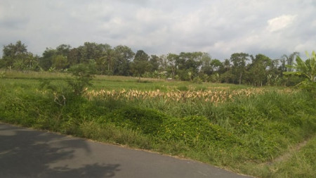 TANAH SAWAH SELUAS 1633 METER PERSEGI, DI JL PALAGAN, NGAGLIK, SLEMAN