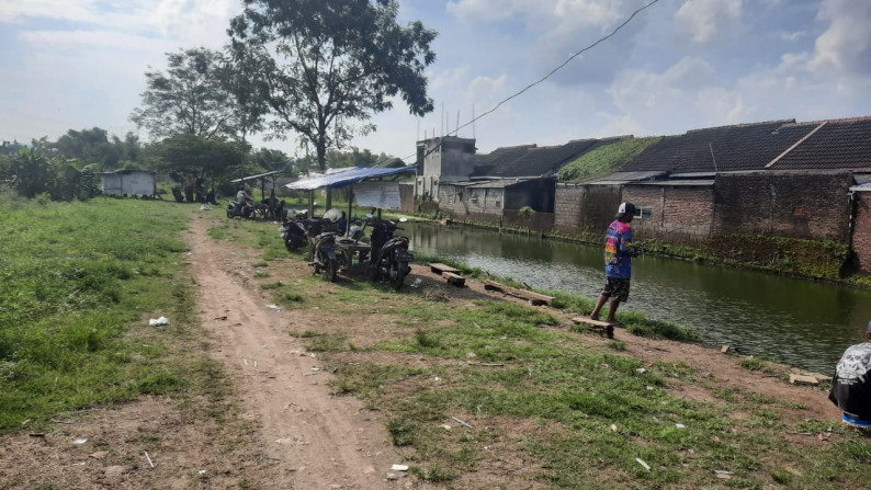 Tanah Desa Baujeng, Kec Beji, Pasuruan Luas 2.594m2