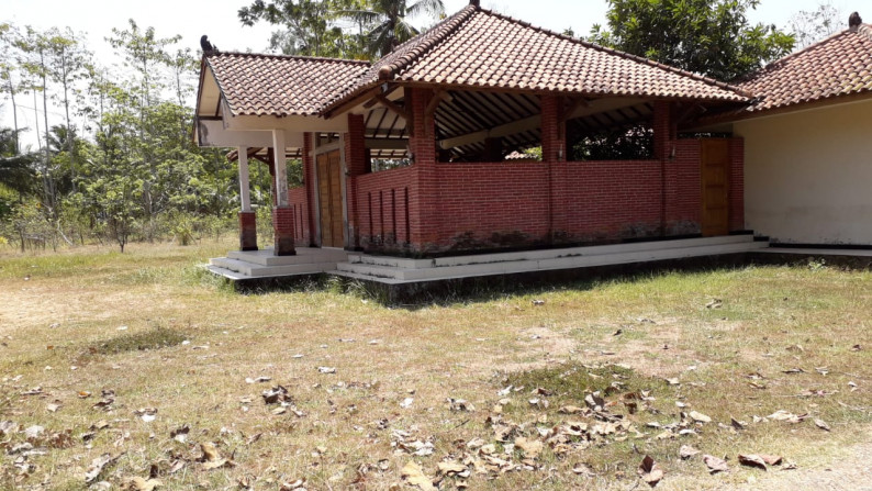 TANAH 11.800 METER BONUS BANGUNAN KLASIK, KUTOARJO, PURWOREJO