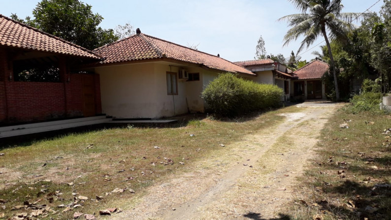 TANAH 11.800 METER BONUS BANGUNAN KLASIK, KUTOARJO, PURWOREJO