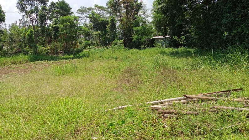 Dijual Tanah Di Cianjur