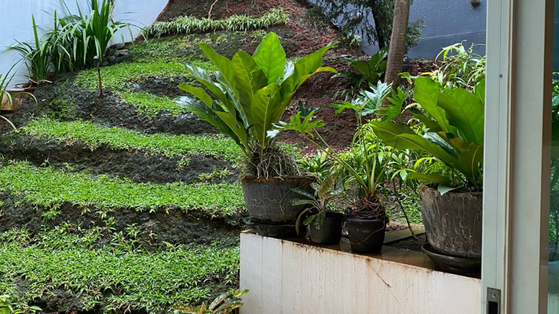 Rumah MEWAH Siap Huni dan Hunian Nyaman @River Park, Bintaro