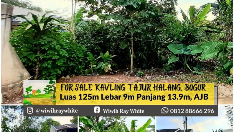 Kavling Murah di Tajur Halang, Bogor Luas 125m, Harga 1,7Jt/m Jarang ada