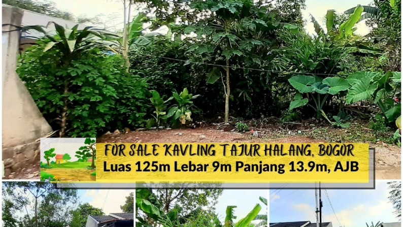 Kavling Murah di Tajur Halang, Bogor Luas 125m, Harga 1,7Jt/m Jarang ada