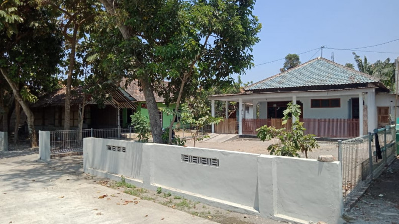 RUMAH DI KAWASAN ASRI , DAERAH BANGUNHARJO, SEWON, BANTUL