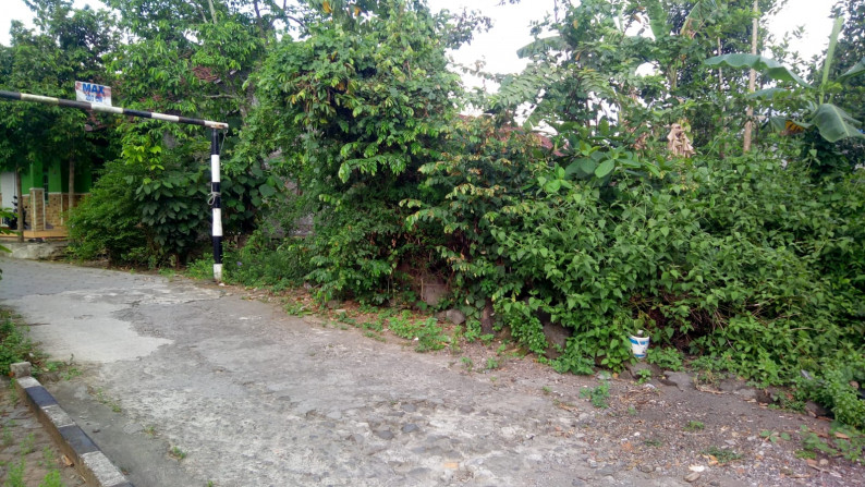TANAH PEKARANGAN 480 METER PERSEGI DI DEKAT RINGROAD UTARA