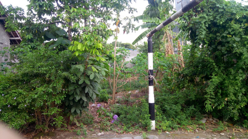 TANAH PEKARANGAN 480 METER PERSEGI DI DEKAT RINGROAD UTARA
