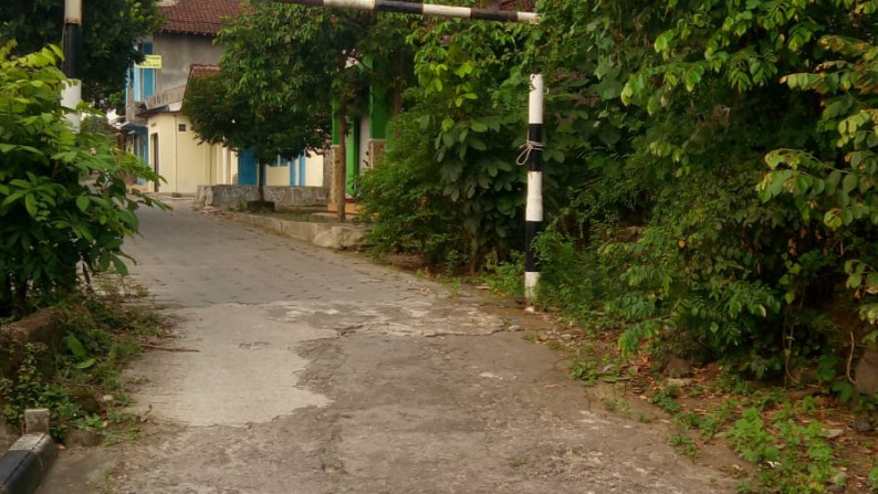 TANAH PEKARANGAN 480 METER PERSEGI DI DEKAT RINGROAD UTARA
