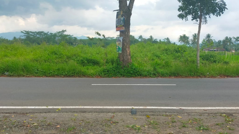 TANAH 2226 METER DI SUKOREJO, MERTOYUDAN, MAGELANG