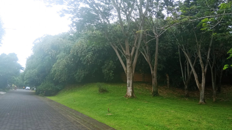 Kavling badan Caribbean delatinos Lokasi premium