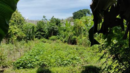 TANAH SAWAH DI JL LEDOK BABADAN, BANGUNTAPAN, BANTUL