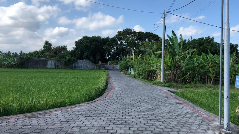 Affordable Land Freehold  with Rice field Views, Tabanan