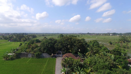 Affordable Land Freehold  with Rice field Views, Tabanan