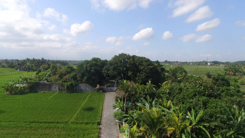 Affordable Land Freehold  with Rice field Views, Tabanan