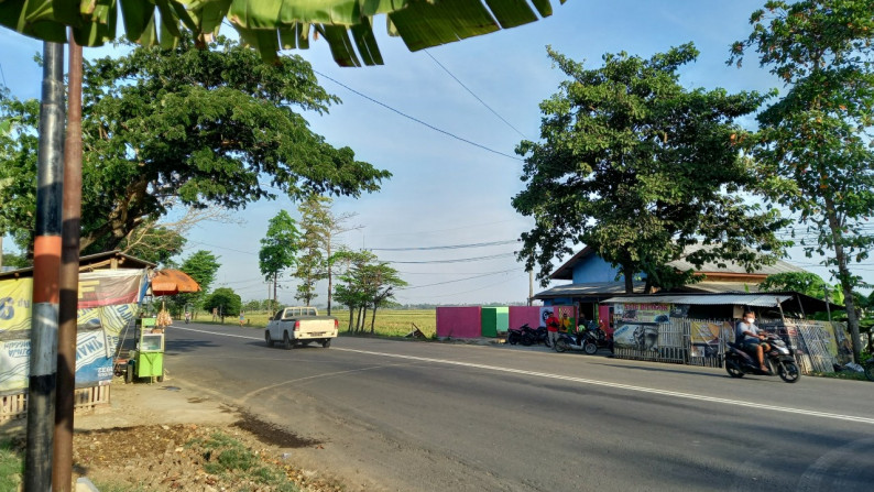 Tanah Raya Jatibarang, Karangampel, Indramayu, Luas 7.060m2