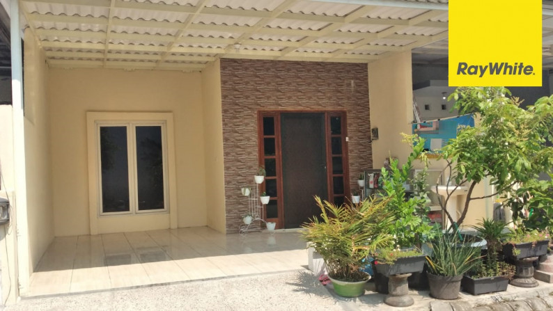 Rumah Furnish di The Taman Dhika Cluster Argopuro, Sidoarjo