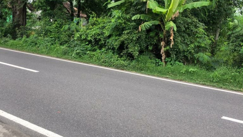 TANAH 2100 METER PERSEGI, DI JL BLANCERAN, KARANGANOM, KLATEN