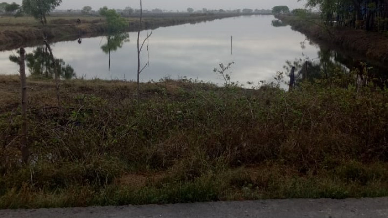 Tanah di Ds Petis Benem, Duduksampeyan, Gresik