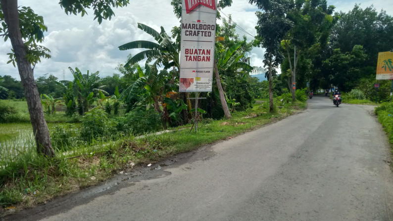 Tanah Sawah Jalan Mahoni Wirokerten Banguntapan Yogyakarta