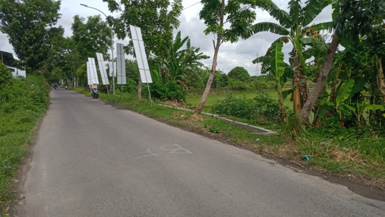 Tanah Sawah Jalan Mahoni Wirokerten Banguntapan Yogyakarta