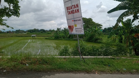 Tanah Sawah Jalan Mahoni Wirokerten Banguntapan Yogyakarta