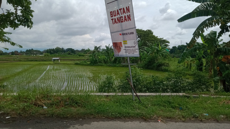 Tanah Sawah Jalan Mahoni Wirokerten Banguntapan Yogyakarta