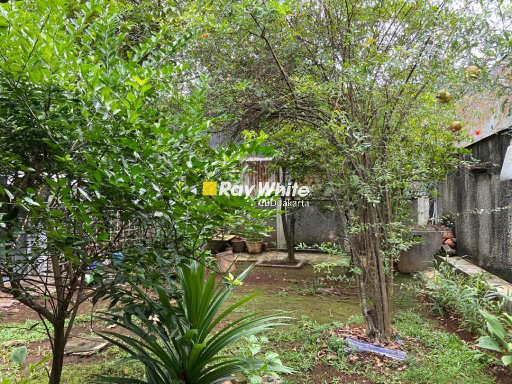 Rumah Jl. Pati Unus