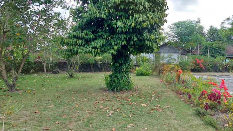 TANAH DAN BANGUNAN DI BIMOMARTANI, SLEMAN