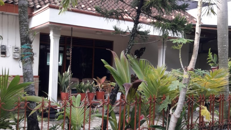 RUMAH  6 KAMAR DI BARAT APMD, JL TIMOHO, YOGYAKARTA