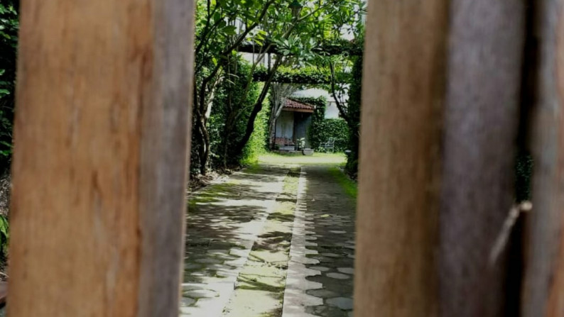 Rumah Dengan Halaman Luas @Jl Nusa Indah, Dero, Condong Catur, Sleman