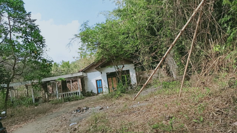 TANAH LUAS 1.023 M2 DI SEYEGAN, GODEAN, SLEMAN - YOGYAKARTA