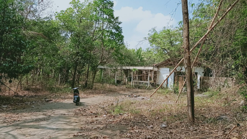 TANAH LUAS 1.023 M2 DI SEYEGAN, GODEAN, SLEMAN - YOGYAKARTA