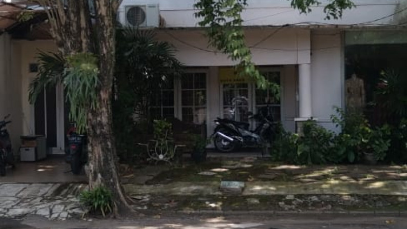 Rumah Bagus Di Maleo Bintaro Jaya Sektor 9