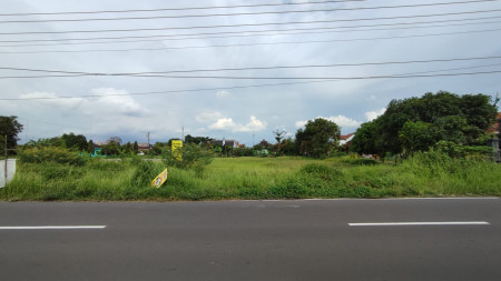 TANAH PEKARANGAN LUAS DI TLOGO, PRAMBANAN, KLATEN