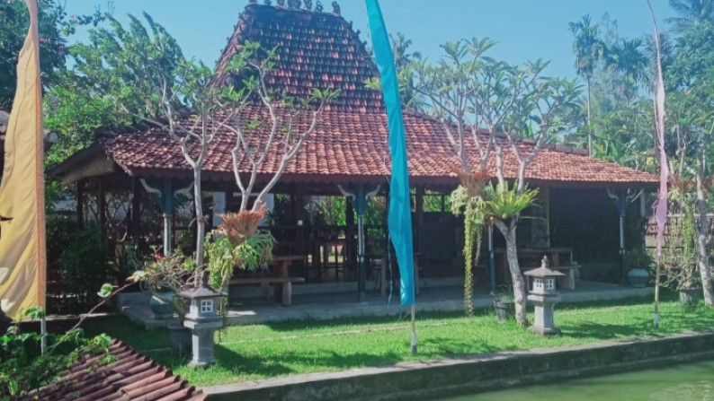 Traditional Villa Leasehold in Great Location Cepaka