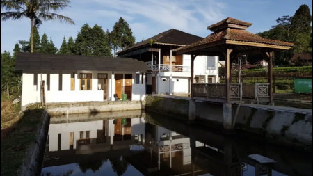 Jual Cepat Tanah dan Bangunan Villa 2 lantai - Rumah Panggung dan Peternakan