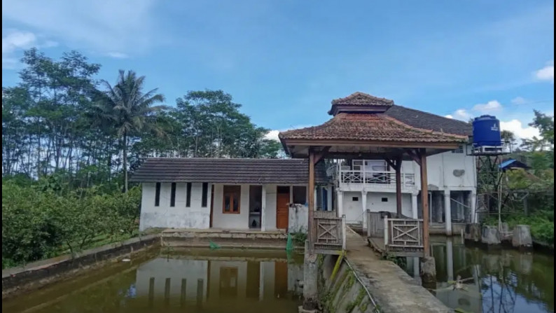 Jual Cepat Tanah dan Bangunan Villa 2 lantai - Rumah Panggung dan Peternakan