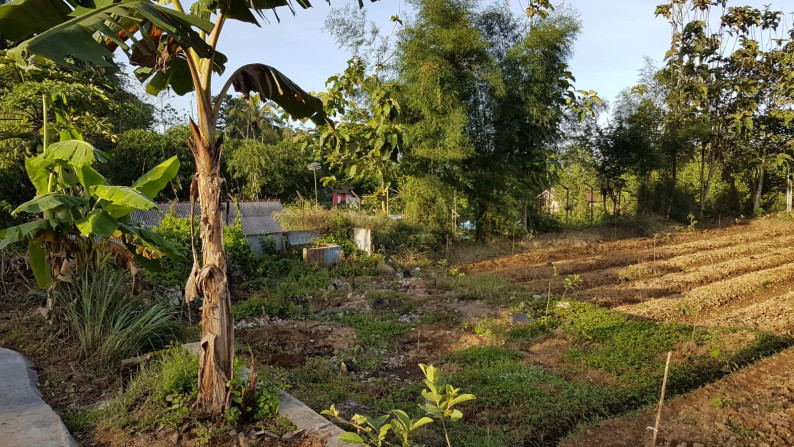 Jual Cepat Tanah dan Bangunan Villa 2 lantai - Rumah Panggung dan Peternakan