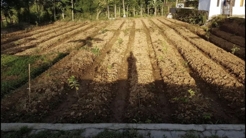 Jual Cepat Tanah dan Bangunan Villa 2 lantai - Rumah Panggung dan Peternakan