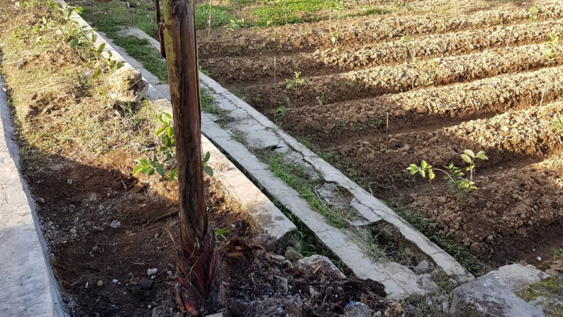 Jual Cepat Tanah dan Bangunan Villa 2 lantai - Rumah Panggung dan Peternakan