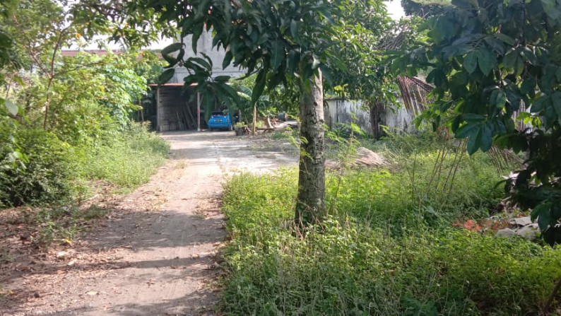 TANAH PEKARANGAN 487 METER PERSEGI, DI JL JOGJA - SOLO KM 12,5