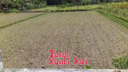 TANAH SAWAH 1157 METER PERSEGI, DI JUWANGEN, KALASAN, SLEMAN