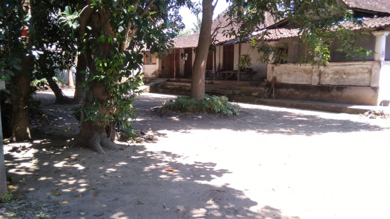 TANAH SELUAS 920 METER PERSEGI DEKAT BALAI DESA SANDEN, KLATEN