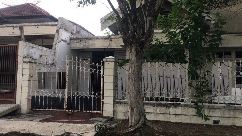 Rumah Hitung Tanah Dijual Dharmahusada Indah Utara Surabaya