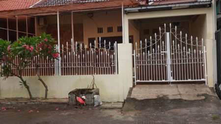 Rumah Disewa Wisma Permai Tengah Sukolilo Surabaya