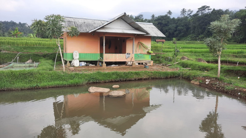 Dijual Sawah Luas @Wanaysa, Purwakarta