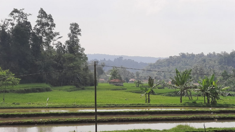 Dijual Sawah Luas @Wanaysa, Purwakarta