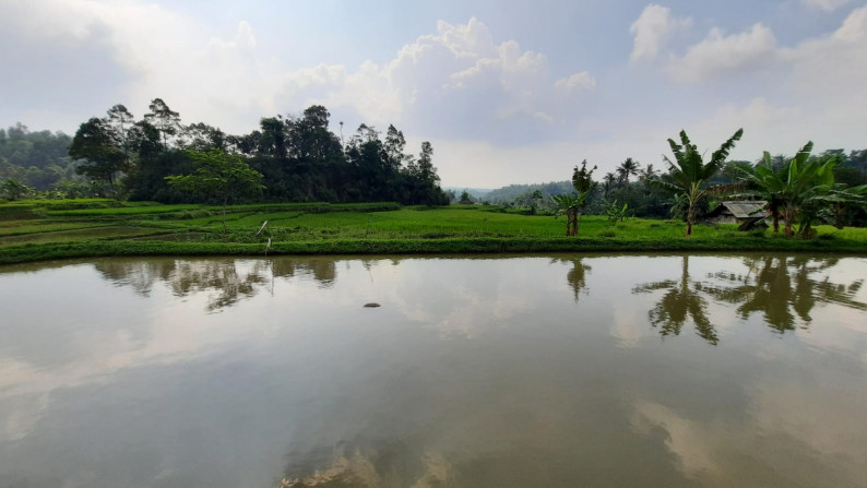 Dijual Sawah Luas @Wanaysa, Purwakarta