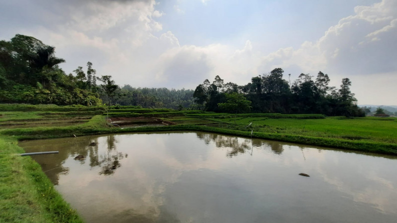 Dijual Sawah Luas @Wanaysa, Purwakarta