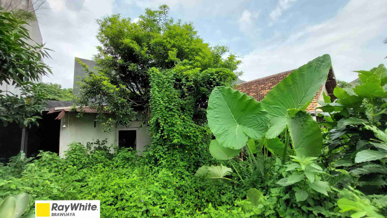 RUMAH TUA DI CIPETE, DALAM KOMPLEKS, HITUNG TANAH SAJA, DI HOOK, HADAP TIMUR